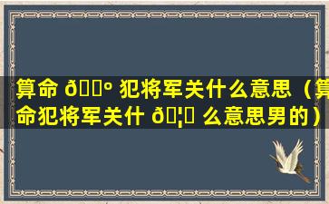 算命 🐺 犯将军关什么意思（算命犯将军关什 🦅 么意思男的）